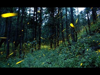 Majai - Strange (Nitrous Oxide Remix)