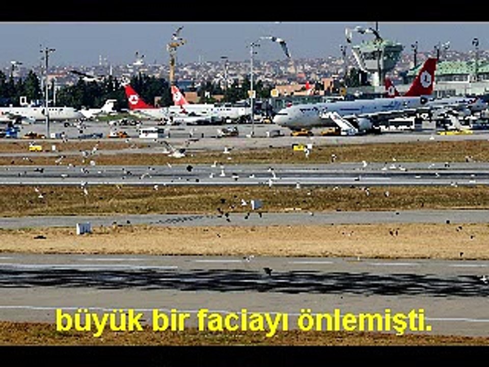 kuş kovucu cihazlar www.kovmatik.com