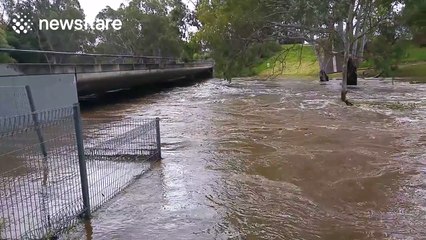 River bursts banks in South Australia after 'unprecedented' rainfall