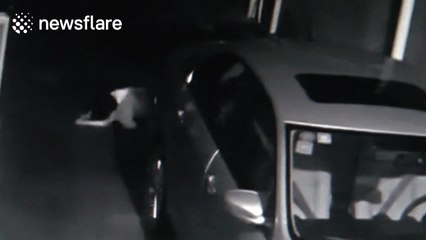 Girl, 6, falls from third floor of building and miraculously survives