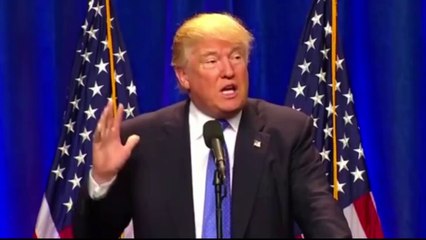 Leaked Trump records show he might haven't paid taxes for almost two decades