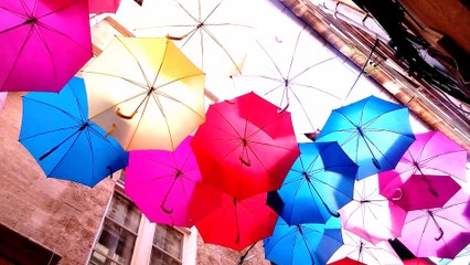 Software - Double Binded Sax