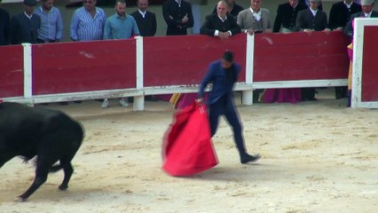 Mehdi Savalli Les Saintes Maries de la Mer