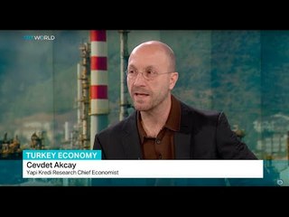 Turkey's GDP grew by 4% in last year, Cevdet Akcay weighs in