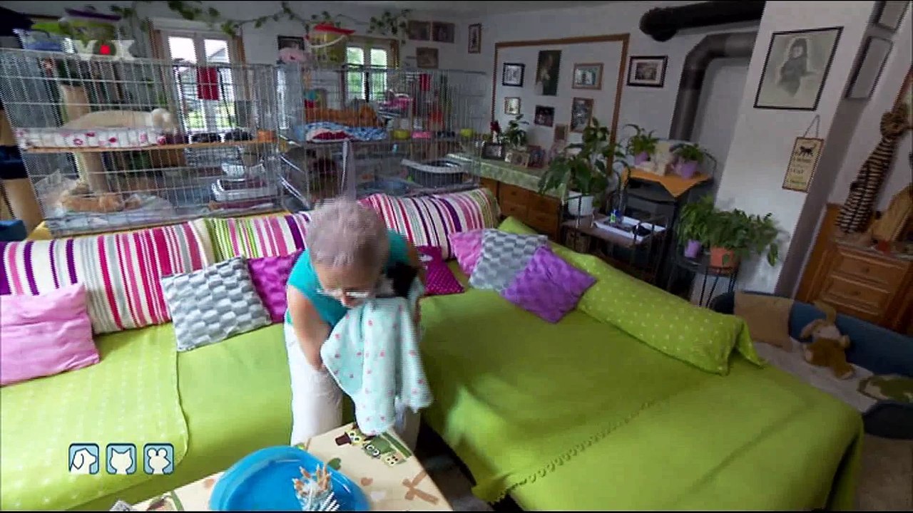 Tiere in Not (Frank Weber) VOX - Hund Katze Maus - Katzenzuflucht Flinsbach e.V.