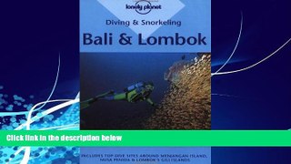Big Deals  Diving and Snorkeling Bali and Lombok (Lonely Planet)  Free Full Read Most Wanted