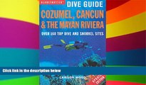 Big Deals  Cozumel, Cancun and the Mayan Peninsula (Globetrotter Dive Guide)  Best Seller Books