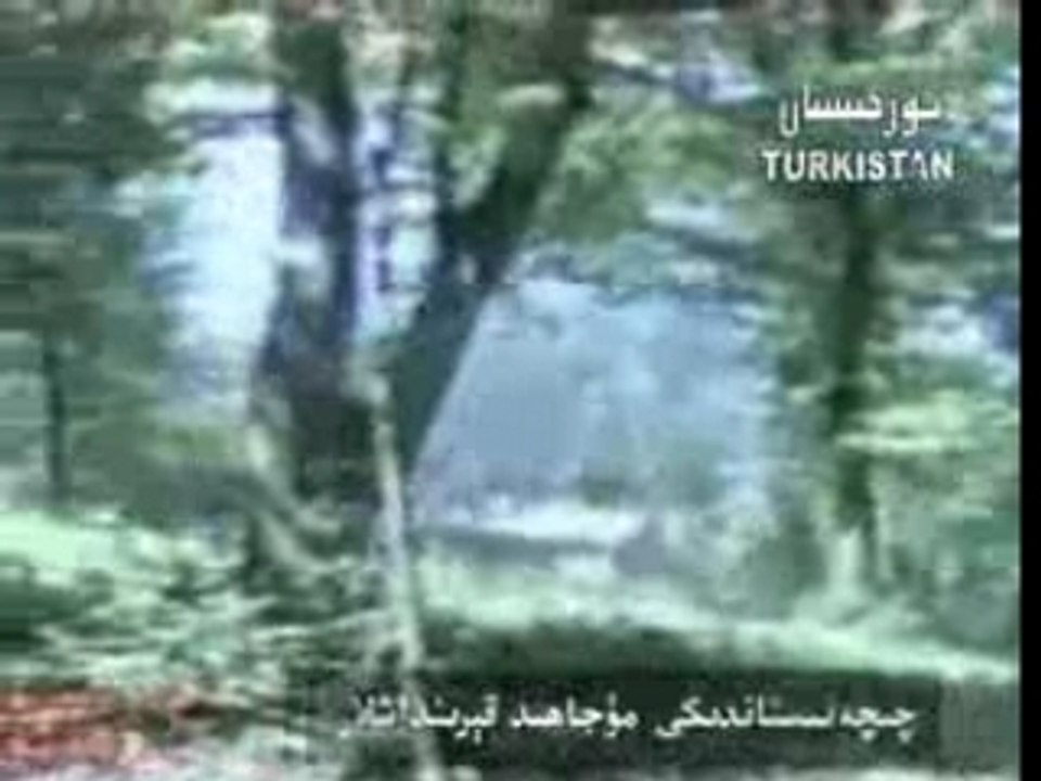 Mujahideen Turkistan Allah Islam Iman Quran
