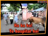 Ha ha ha! Ye hospital hai