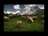 Venhar SAĞIROĞLU İle Her Telden Ebruli - Çoban Hesabı