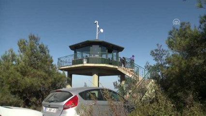 Dünya Kuş Gözlem Günü