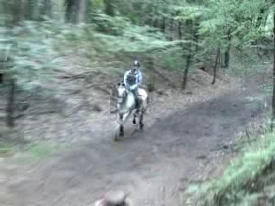 Chute cross