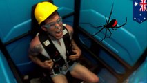 Penis pria digigit laba-laba untuk kedua kalinya saat di wc umum - Tomonews