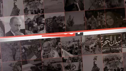 جماعات للكلاب الضالة تنتشر بشوارع دمياط ورأس البر