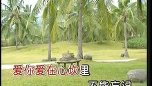 爱你爱在心坎里. (Daniel Han 韩晨光)