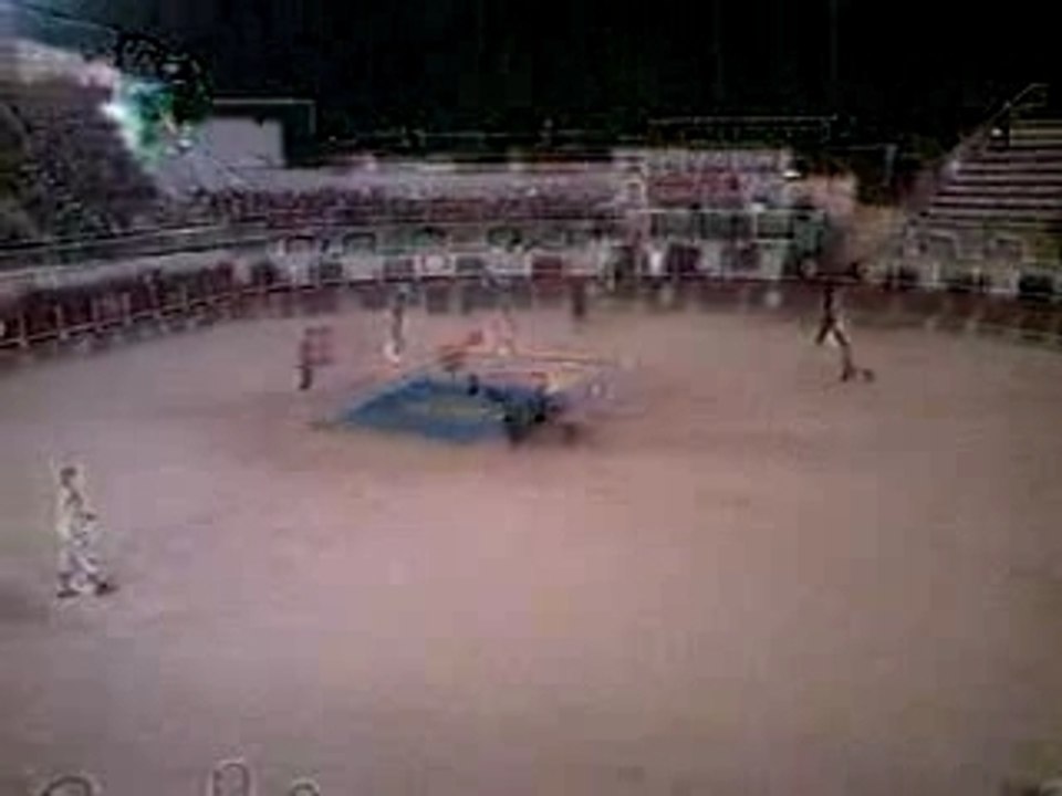 el toro