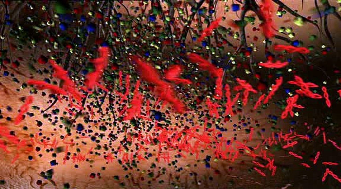 What the Bleep Do We (K)now?! Part 2