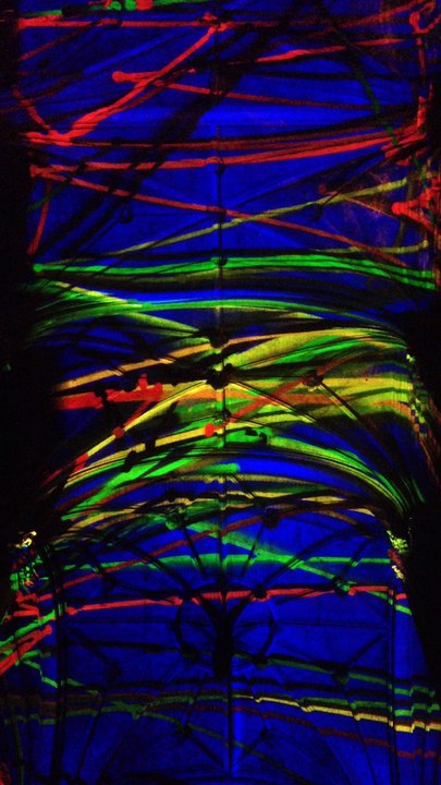 Miguel Chevalier Voûtes célestes 30 sep 2016 V1