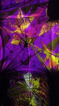 Miguel Chevalier Voûtes Célestes Saint Eustache Vol5