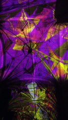 Miguel Chevalier Voûtes Célestes Saint Eustache Vol5