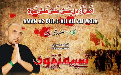 Aman az Dill e Ali Ali Ali Mola-Naeem Naqvi Nohay 2016-17