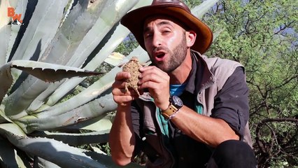 Inked by a Giant Slug!