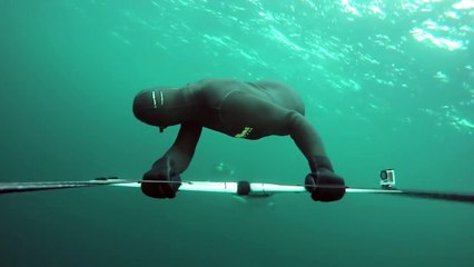 GoPro Awards: Soaring with Orcas