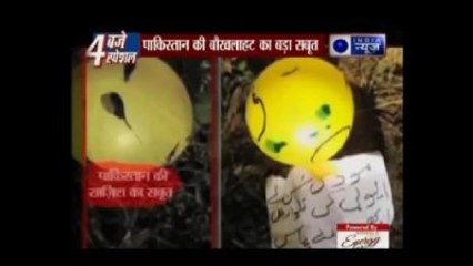 Hindistan Başbakanına Tehdit Mektubu Taşıyan Güvercin 'Tutuklandı'