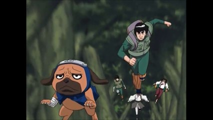 Guy hits a tree branch - Naruto Shippuuden Funny Moment