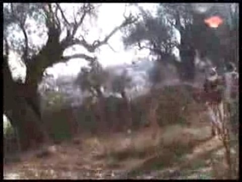 Anglais insultés et dénigrés par deux colons sionistes