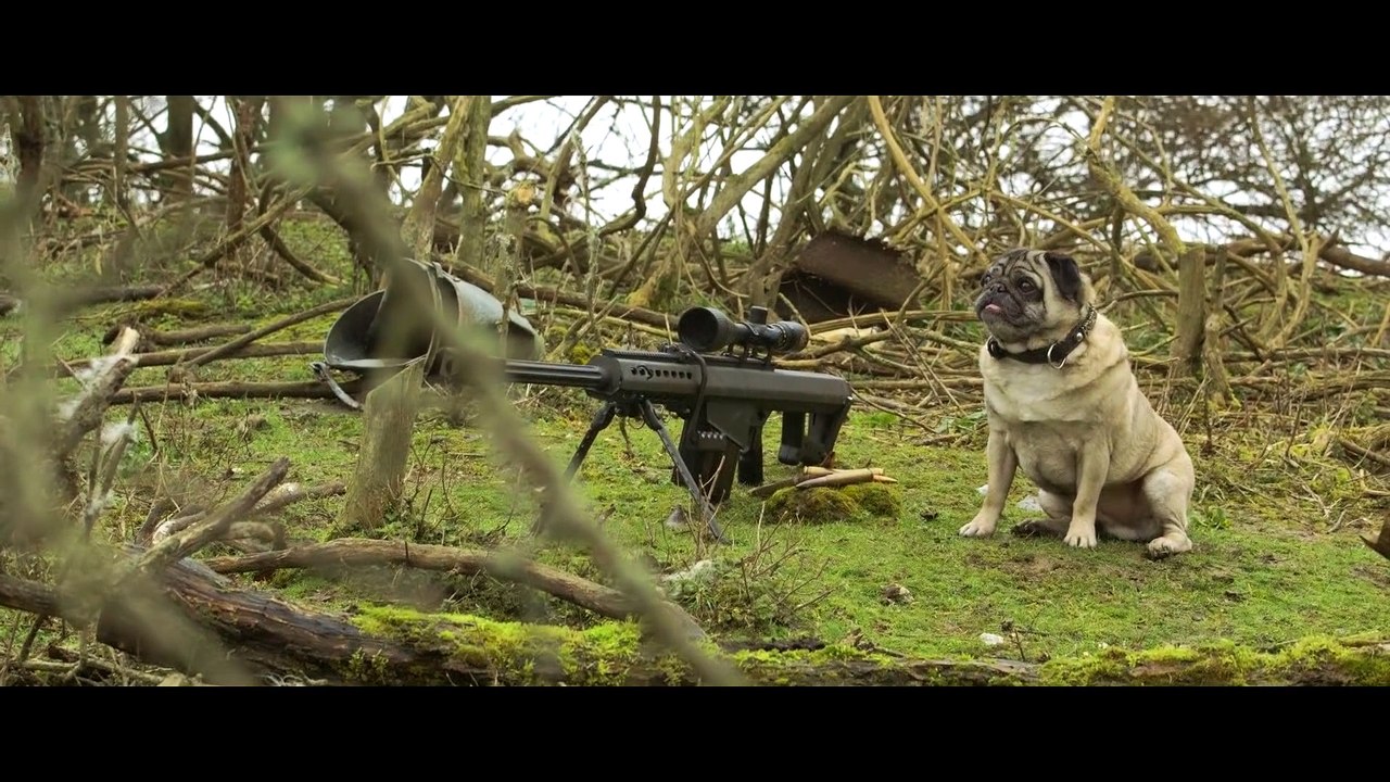 Sniper Pug