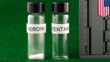 Descargar video: Synthetic opioid epidemic in U.S. behind spike in drug overdoses