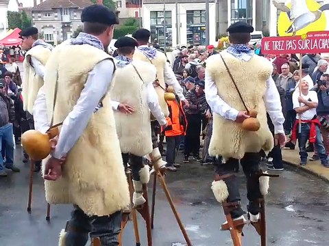 Mont-de-Marsan : démonstration d'échasses lors de la manifestation opur défendre les traditions landaises