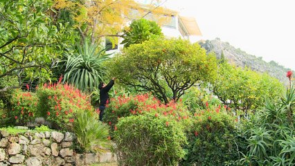 Mauro Colagreco, le chef aux mille saveurs