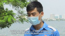 Vietnam: des centaines de poissons retrouvés morts dans un lac