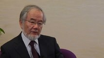Nobel Tıp Ödülü Japon Bilim Adamı Ohsumi'nin