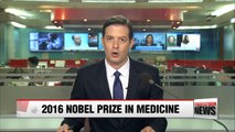2016 Nobel Prize in medicine goes to Japanese cell biologist Yoshinori Ohsumi