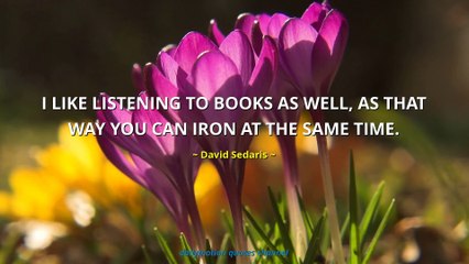 David Sedaris Quotes #2