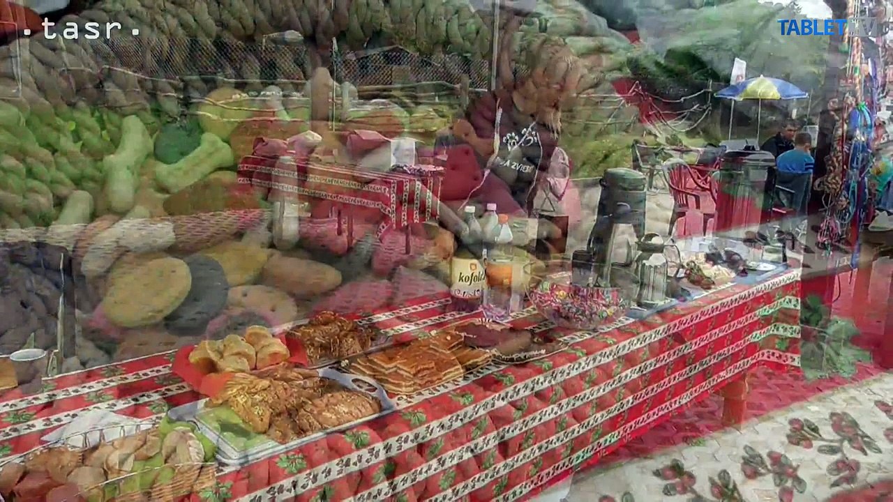 Svetový deň zvierat doma a vo svete: Takto si ho pripomenuli