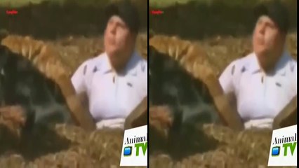 3D VR - Side by Side (SBS) HD - New Funny videos of MAy/JUne 2016 // Try not to laugh challenge 2