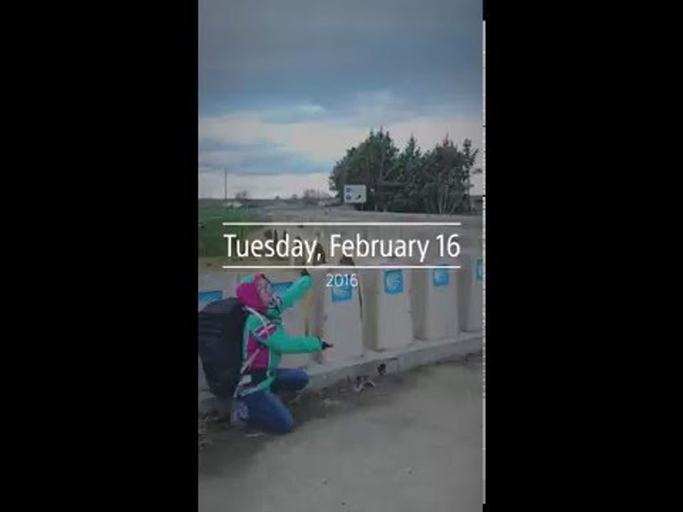 Day 47: Snippets
