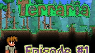 Terraria episode #1