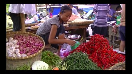 BINJAI - HARGA SAYUR MAYUR