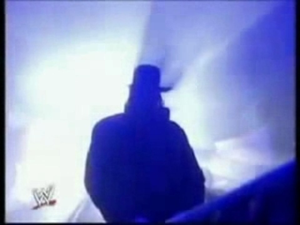 TEWW Backlash Opening