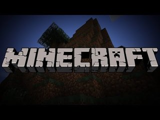 Minecraft (Putos esqueletos :c) #1