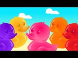 Jelly Bears | Five Little Ducks | Nursery Rhymes For Kids And Childrens | Baby Song