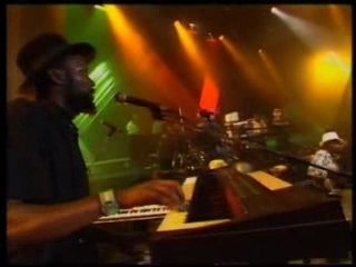 Steel pulse .roller skates